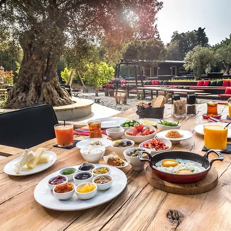 Warehouse By The (adults Only) אלאקאטי