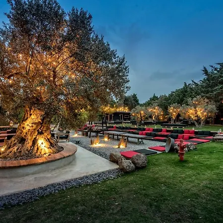 Warehouse By The (adults Only) 2*