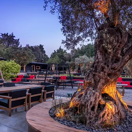 Warehouse By The (adults Only) 2* ألاتشاتي